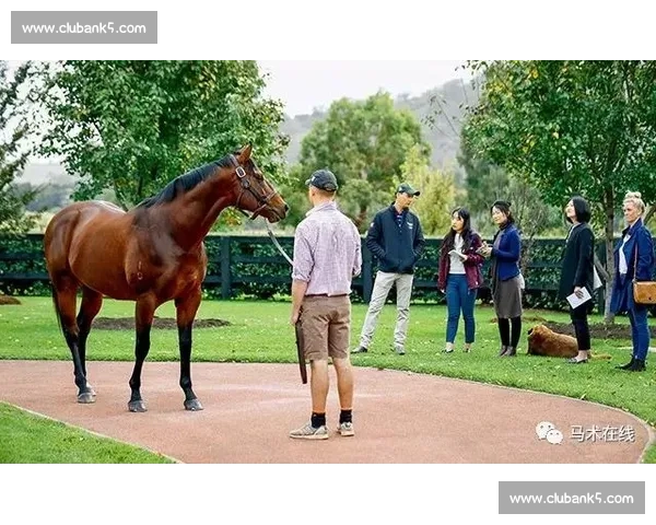 在城市与自然之间用踩单车重新发现自由与健康的生活方式探索之旅 在城市与自然之间用踩单车重新发现自由与健康的生活方式探索之旅