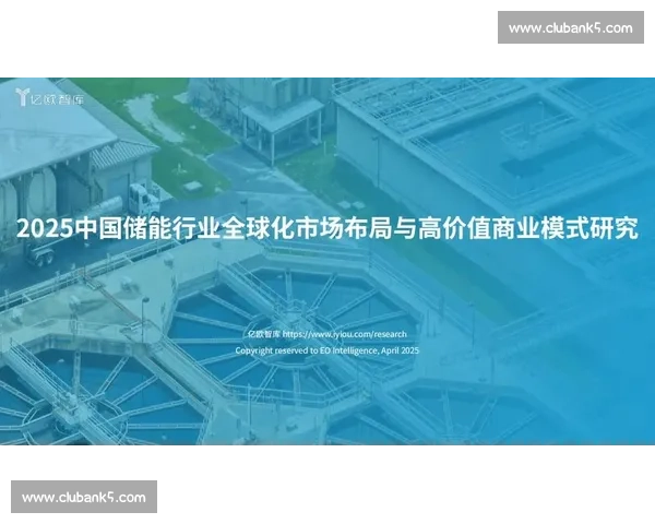 资本运作与企业价值提升路径探析：创新模式与市场适应性研究